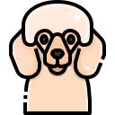 perro icon