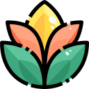 naturaleza icon