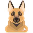 cachorro 