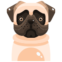 cachorro 