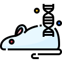 ratón icon