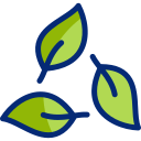 Organic icon