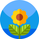 primavera icon