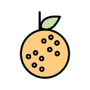 fruta icon