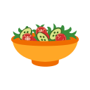 saludable icon