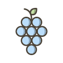 fruta icon