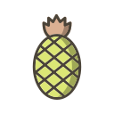 fruta icon