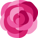 rosa icon