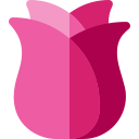 rosa icon