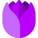 tulipán icon