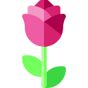 rosa icon