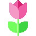 tulipán icon