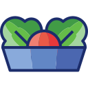 ensalada icon