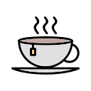 saludable icon