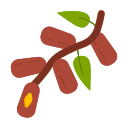 fruta 