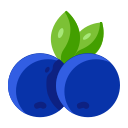 Fruit icon