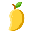 Fruit icon