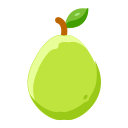 Fruit icon