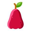 obst 