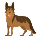 perro icon