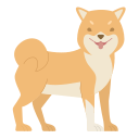 perro icon