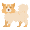 perro icon