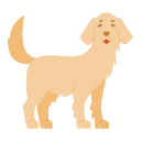 perro icon