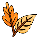 naturaleza icon