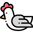 pollo icon