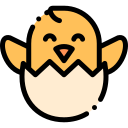 pollo icon