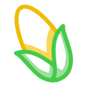 Fruit icon
