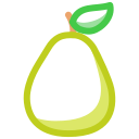 Fruit icon