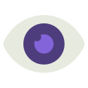 ojo icon