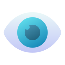 ojo icon