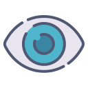 ojo icon