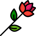 rosa icon