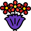 ramo icon