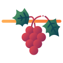 fruta icon