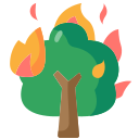 naturaleza icon