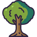 naturaleza icon