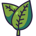 naturaleza icon