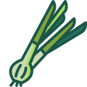 cebola 
