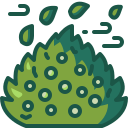 natureza 