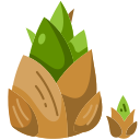 naturaleza icon