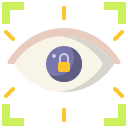 seguridad icon