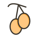 fruta icon