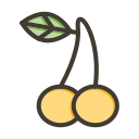 fruta icon