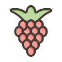 fruta icon