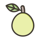 fruta icon