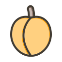 fruta icon